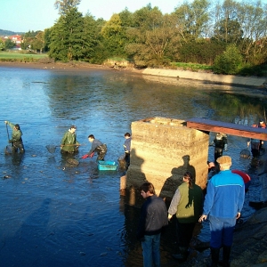 Výlov PODLUHY - 2009