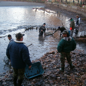 Výlov VALCVERK - 2010